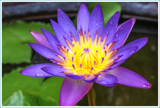 Kim Grynick Therapy Services Ashland Oregon